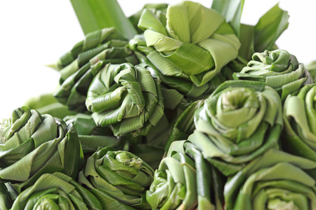 Rose of Pandan leaf isolated on white. の写真素材