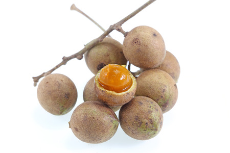 Schleichera oleosa (Lour.) Oken ,fruit of Thailandの写真素材