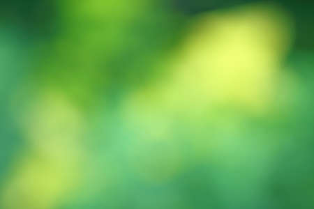 Natural yellow bright blur backgroundの写真素材