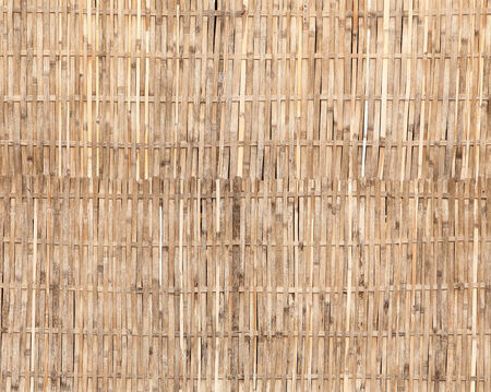 bamboo background