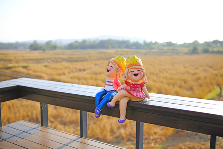 A girl and a boy dolls, sitting by fields background . (love concept)の写真素材