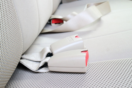 close up safety belt in a carの写真素材