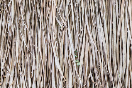 Thatch roof background, hay or dry grass background.の写真素材