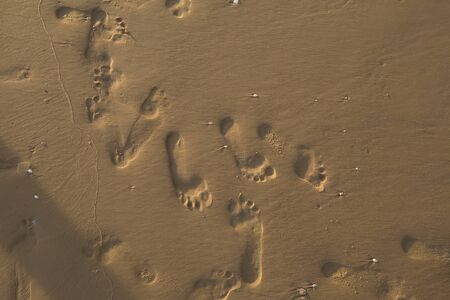 footsteps in sandy on the beach