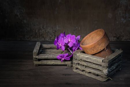 Orchids in old wooden pot.still life styleの写真素材