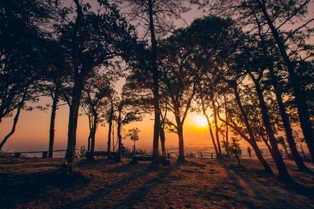 beautiful sunlight and fog at phu ruea in loei province thailandの写真素材