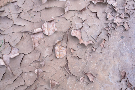 Dry land. Cracked ground background.