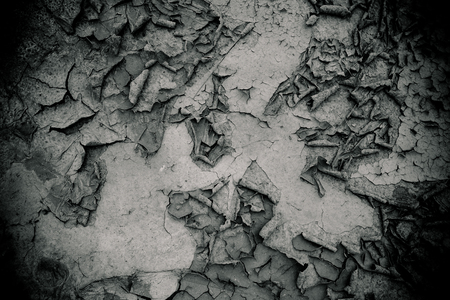 Dry land texture in desert.black and white background.の写真素材
