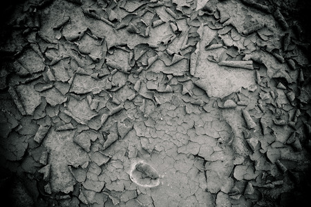 Dry land texture in desert.black and white background.の写真素材