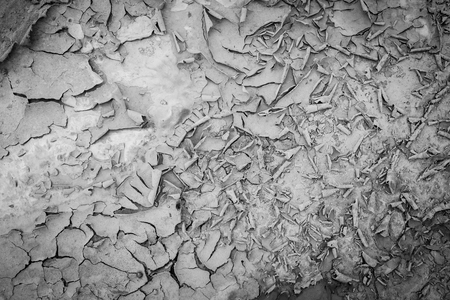 Dry land. Cracked ground background.balck and whiteの写真素材