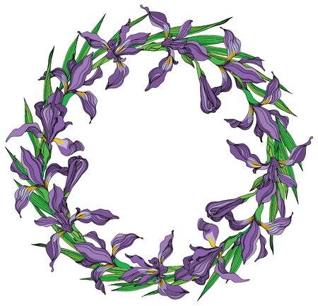 Iris wreat vector illustrationのイラスト素材