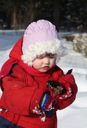 Little beautiful girl wearing warm clothing looks at dry flower in winter forestの写真素材