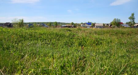 Green grass at beautiful field near village at sunny summer day の写真素材