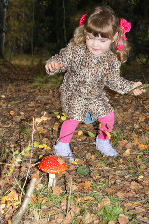 Pretty little girl with pink bows in overcoat found large toadstool in forest.の写真素材