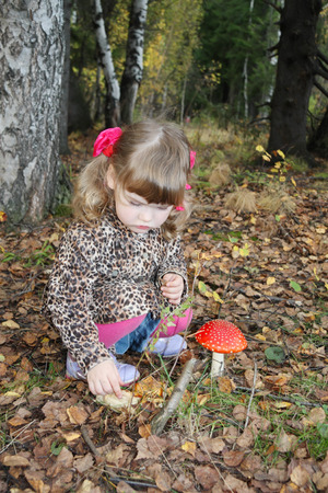 Pretty little girl with pink bows in overcoat sits next red toadstool in forest.の写真素材