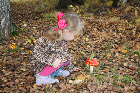 Pretty little girl with pink bows in overcoat looks at red toadstool in forest.の写真素材