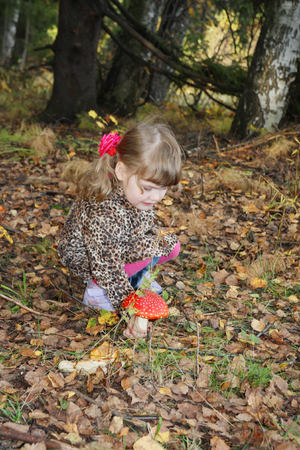 Pretty little girl with bows in overcoat disrupts red toadstool in forest.の写真素材