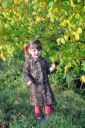 Beautiful little girl stands next to yellow trees in park at sunny autumn day.の写真素材