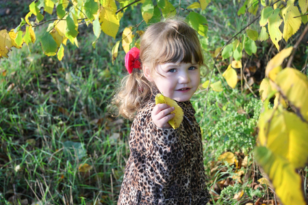 Happy little girl holds leaf next to yellow trees in park at sunny autumn day.の写真素材