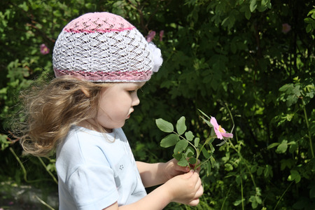 Beautiful little girl in white hat holds pink briar on sunny day.の写真素材