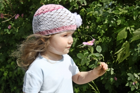 Beautiful little girl in white hat smells pink briar on sunny day.の写真素材