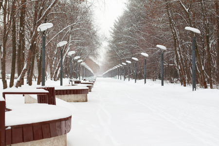 lanterns and benches in alley of park on winter day outdoorsの写真素材