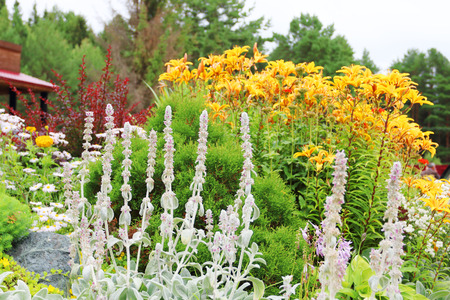 Beautiful flower bed with many high yellow, white and red flowersの写真素材
