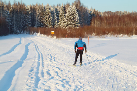 Back of nonpro skier riding on track near forest at winter sunny dayの写真素材