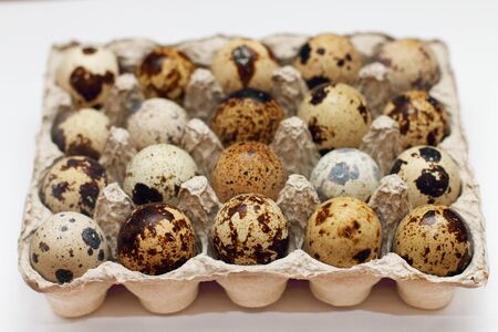 Closeup open package with twenty fresh quail eggs in shallow depth of fieldの写真素材