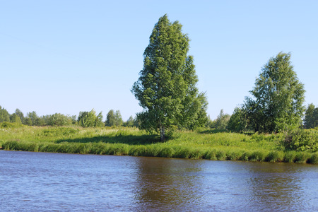 River coast line with green fresh grass and trees on wind at summer dayの写真素材