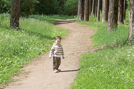 Little handsome boy smiles and stands on path in summer sunny forestの写真素材