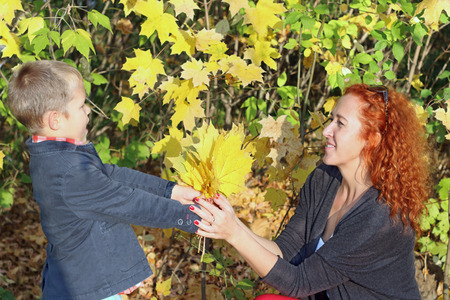 Little son presents yellow maples for his mother in autumn park at sunny dayの写真素材