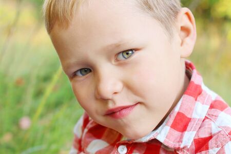 Close up portrait of handsome little blond boy on green meadow at autumnの写真素材