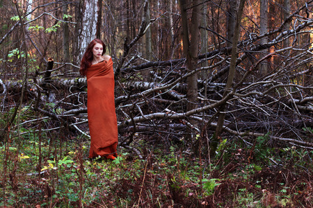 Girl in plaid stands near downed trees in forest, full body portraitの写真素材