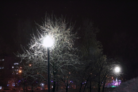 Lantern and tree in snow during blizzard at winter evening in cityの写真素材