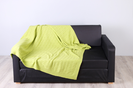Black simple couch with green plaid in empty cozy living roomの写真素材