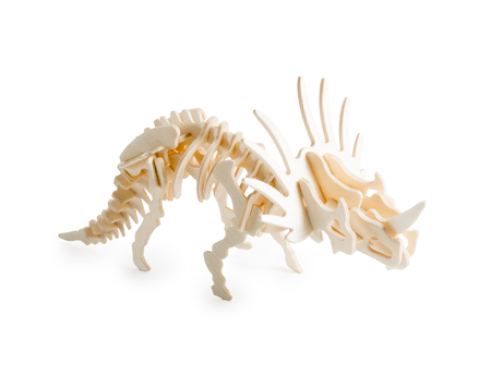 Wooden beautiful model of dinosaur triceratops isolated on whiteの写真素材