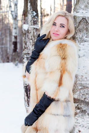 Blonde in fur coat, leather gloves poses near birÑh outdoor at winter day in forestの写真素材