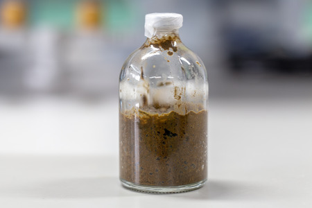 Experiment of waste fermentation in laboratories.の写真素材