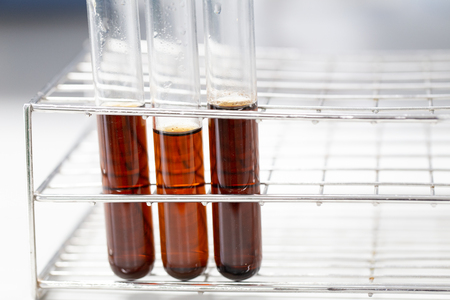 Experiment of waste fermentation in laboratories.の写真素材