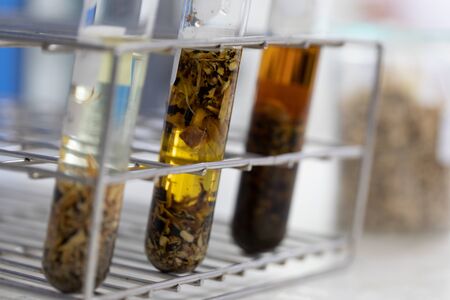 The study Separating by filtration and evaporation condensation the component substances from liquid mixture in Lab.の写真素材