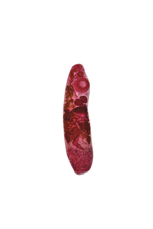 Patterns and backgrounds of Parasitic, Study for Anatomical pathology in laboratory.の写真素材