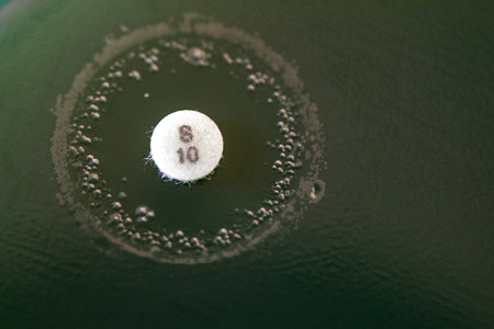 Drug testing of microbiology laboratory.