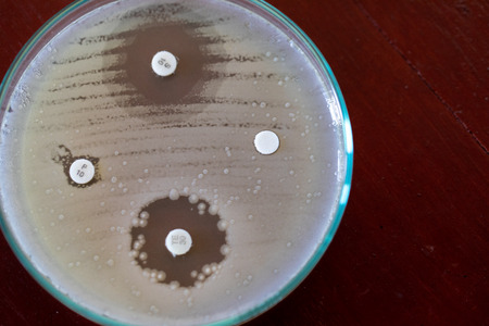 Drug testing of microbiology laboratory.の写真素材