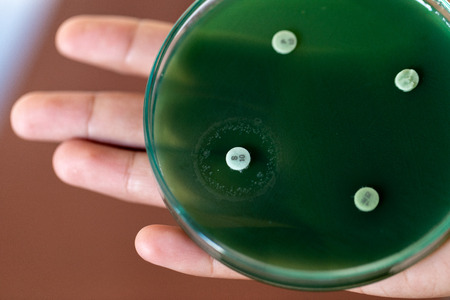 Drug testing of microbiology laboratory.の写真素材