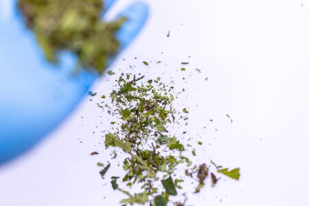 Study Structure of Marijuana leaves, Powder of Cannabis (Drugs) on a White background, For Analysis in laboratory.の写真素材