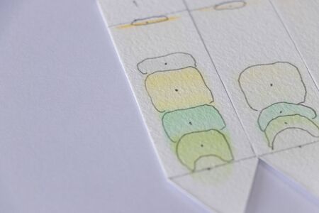 Study of Chromatography is used to separate components of a plant.の写真素材