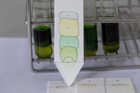 Study of Chromatography is used to separate components of a plant.
