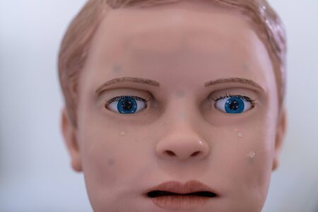 Study of the physiology of the Model and the parts of the human Model in the laboratory.の写真素材