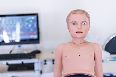 Study of the physiology of the Model and the parts of the human Model in the laboratory.の写真素材